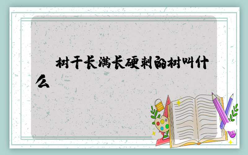  树干长满长硬刺的树叫什么